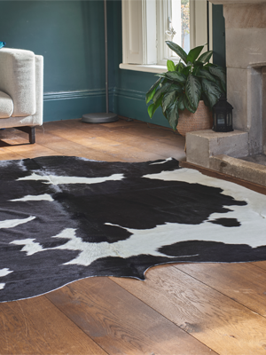 A black and white cowhide rug with a distinct pattern of large black and white patches lies on a rich wooden floor. The edge of a cream sofa and a lamp are visible to the left, and a fireplace with a large green plant and a lantern is to the right. The walls are painted a deep teal colour.