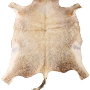 BLESBOK XL 106 X 76 CM
