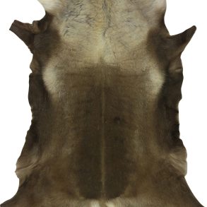 Scandinavian B Grade Standard Shades MEDIUM 70-80CMX110CM