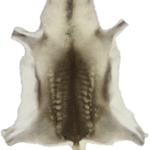 Scandinavian Reindeer Best Standard Shades SMALL 70CMX90CM