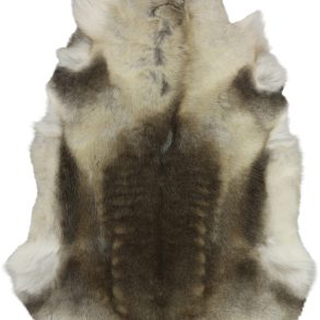 Premium Standard Shades MEDIUM 70-80CMX110CM