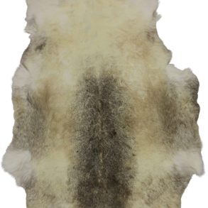 Premium Light Shades MEDIUM 70-80CMX110CM