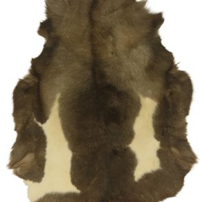 Premium Spotted SPOTTED MEDIUM +70-80X110CM