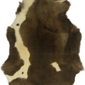 Premium Spotted SPOTTED MEDIUM +70-80X110CM