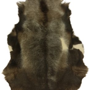 Premium Spotted SPOTTED MEDIUM +70-80X110CM