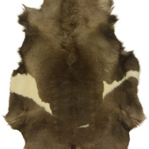 Premium Spotted SPOTTED MEDIUM +70-80X110CM