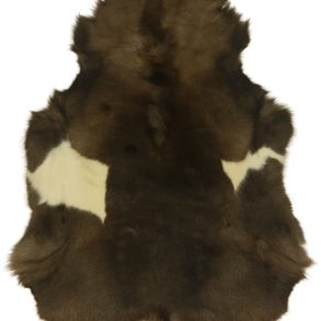 Premium Spotted Spotted Medium 70-80CMX110CM