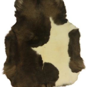 Premium Spotted SPOTTED MEDIUM +70-80X110CM