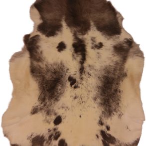 Premium Spotted SPOTTED MEDIUM +70-80X+110CM