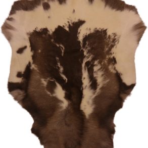 Premium Spotted SPOTTED MEDIUM +70-80X+110CM