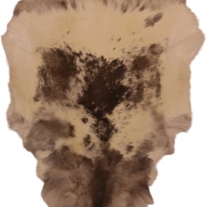 Premium Spotted SPOTTED MEDIUM +70-80X+110CM