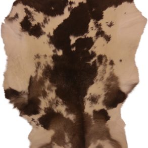 Premium Spotted SPOTTED MEDIUM +70-80X+110CM