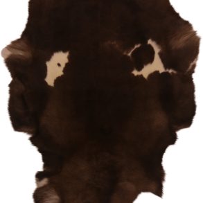 Premium Spotted SPOTTED MEDIUM +70-80X+110CM