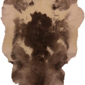 Premium Spotted SPOTTED MEDIUM +70-80X+110CM