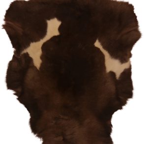 Premium Spotted SPOTTED MEDIUM +70-80X+110CM