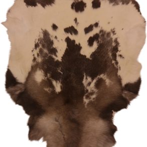 Premium Spotted SPOTTED MEDIUM +70-80X+110CM