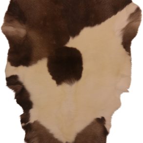 Premium Spotted SPOTTED MEDIUM +70-80X+110CM