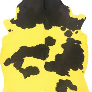 COWHIDE ASSORTED PRINTED & DYED 3-5M