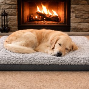 SHEEPSKIN S/W70X45CM CURLY PET BED MEDIUM GREY